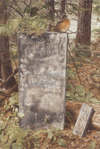 The Memory of Isabella